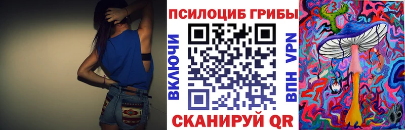 ссылка на мегу ТОР  Городец  Псилоцибиновые грибы GOLDEN TEACHER  где найти наркотики 