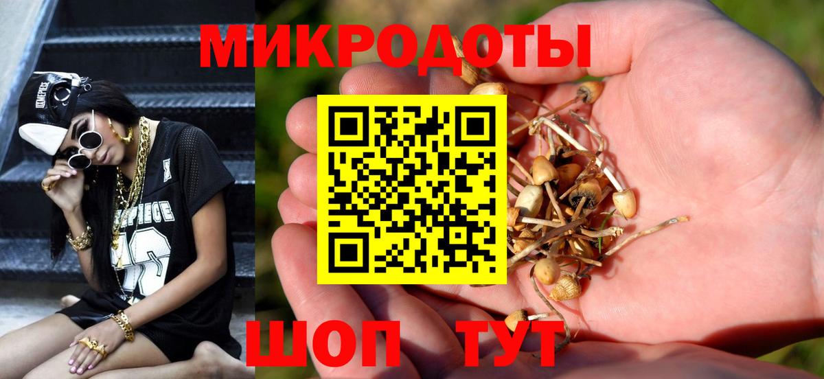 Галлюциногенные грибы ЛСД  Городец  Псилоцибиновые грибы мицелий 