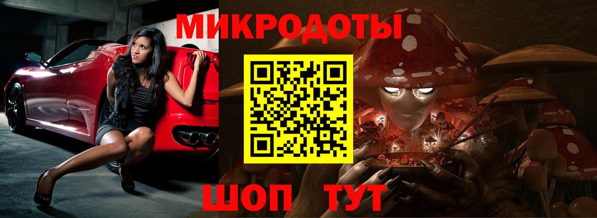 Галлюциногенные грибы мицелий Городец