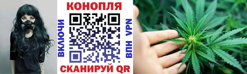 где найти   Городец  МАРИХУАНА сатива 
